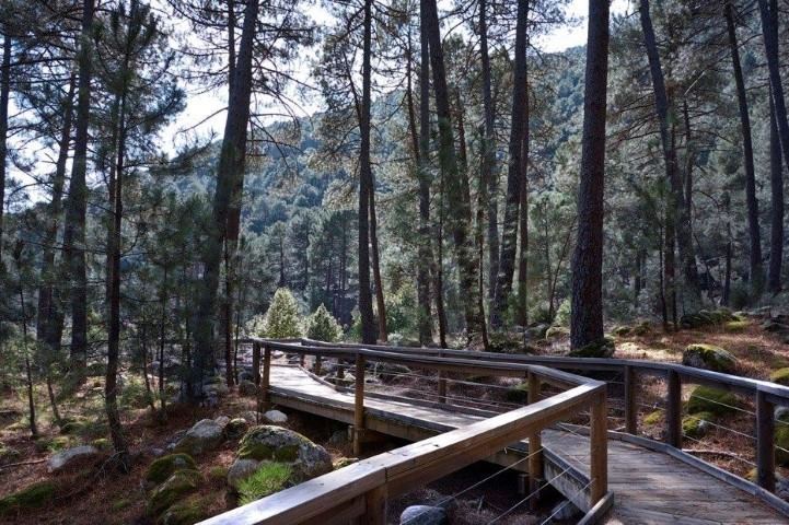 ruta de senderismo en Sierra de Gredos